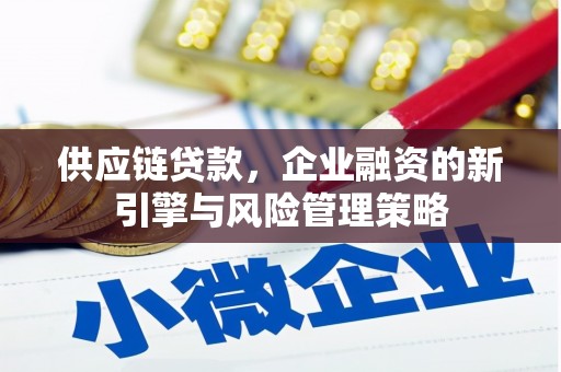 海城供应链贷款，企业融资的新引擎与风险管理策略