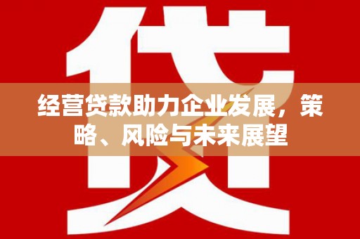 海城经营贷款助力企业发展，策略、风险与未来展望
