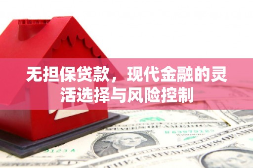 海城无担保贷款，现代金融的灵活选择与风险控制