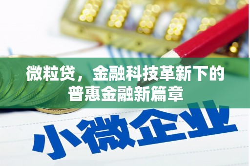 海城微粒贷，金融科技革新下的普惠金融新篇章