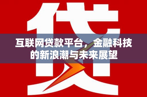 海城互联网贷款平台，金融科技的新浪潮与未来展望