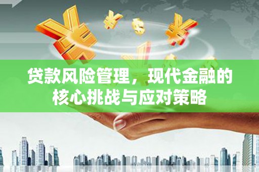海城贷款风险管理，现代金融的核心挑战与应对策略