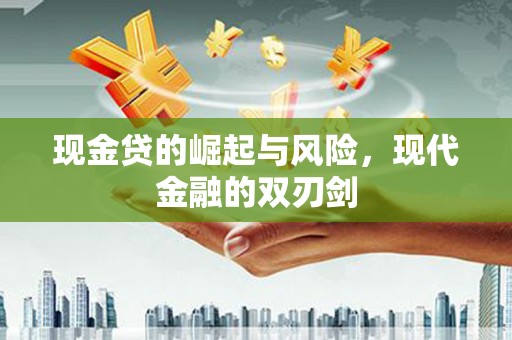海城现金贷的崛起与风险，现代金融的双刃剑
