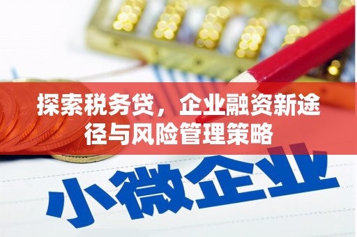 海城探索税务贷，企业融资新途径与风险管理策略