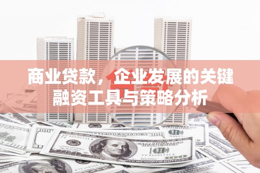 海城商业贷款，企业发展的关键融资工具与策略分析