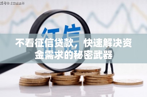 海城不看征信贷款，快速解决资金需求的秘密武器
