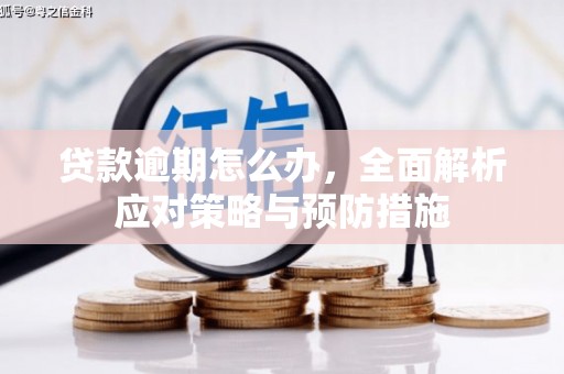 海城贷款逾期怎么办，全面解析应对策略与预防措施
