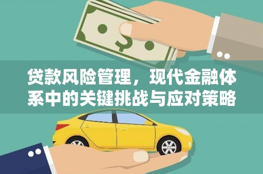 海城贷款风险管理，现代金融体系中的关键挑战与应对策略