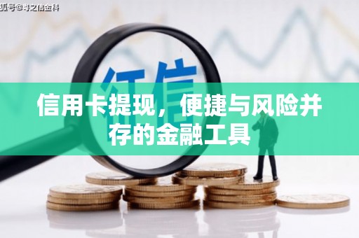 海城信用卡提现，便捷与风险并存的金融工具