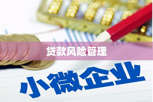 海城贷款风险管理