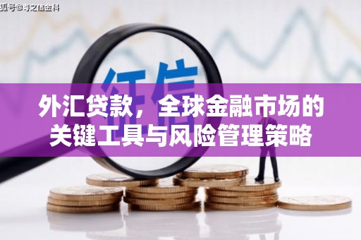 海城外汇贷款，全球金融市场的关键工具与风险管理策略