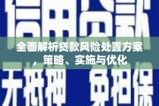 海城全面解析贷款风险处置方案，策略、实施与优化
