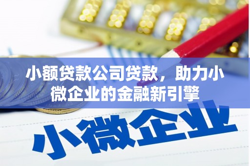 海城小额贷款公司贷款，助力小微企业的金融新引擎
