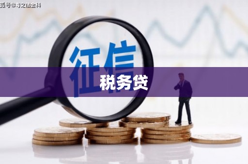 海城税务贷