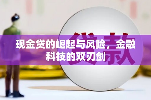 海城现金贷的崛起与风险，金融科技的双刃剑