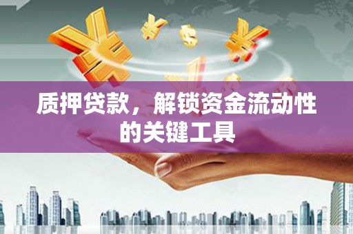 海城质押贷款，解锁资金流动性的关键工具