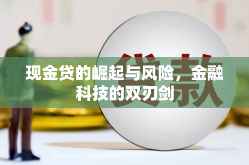 海城现金贷的崛起与风险，金融科技的双刃剑