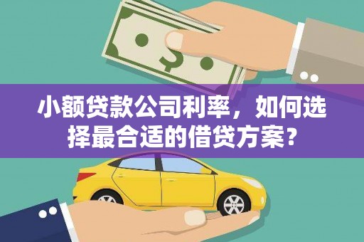 海城小额贷款公司利率，如何选择最合适的借贷方案？