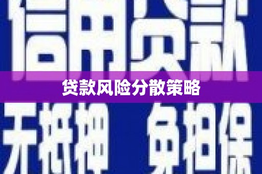 海城贷款风险分散策略