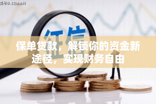 海城保单贷款，解锁你的资金新途径，实现财务自由