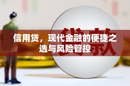 海城信用贷，现代金融的便捷之选与风险管控