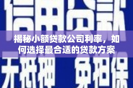 海城揭秘小额贷款公司利率，如何选择最合适的贷款方案
