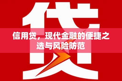 海城信用贷，现代金融的便捷之选与风险防范