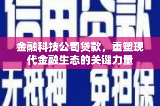 海城金融科技公司贷款，重塑现代金融生态的关键力量