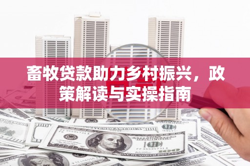 海城畜牧贷款助力乡村振兴，政策解读与实操指南