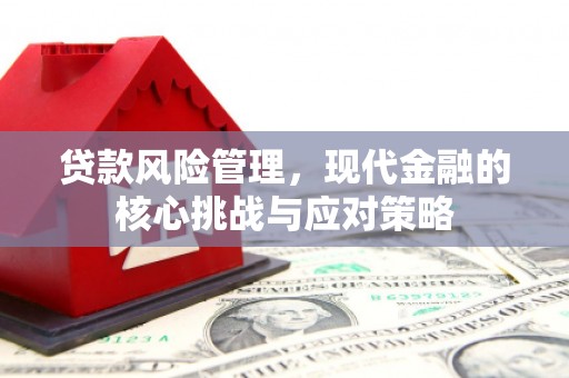海城贷款风险管理，现代金融的核心挑战与应对策略