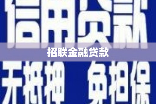 海城招联金融贷款