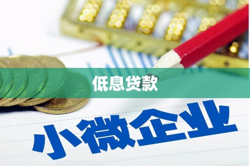 海城低息贷款