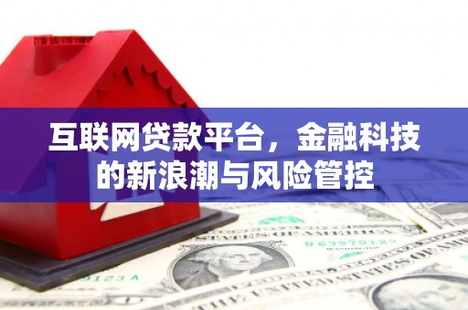 海城互联网贷款平台，金融科技的新浪潮与风险管控