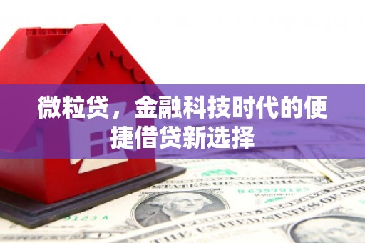 海城微粒贷，金融科技时代的便捷借贷新选择