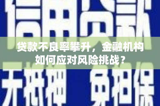 海城贷款不良率攀升，金融机构如何应对风险挑战？