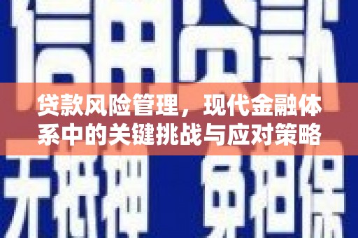 海城贷款风险管理，现代金融体系中的关键挑战与应对策略