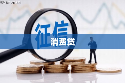 海城消费贷