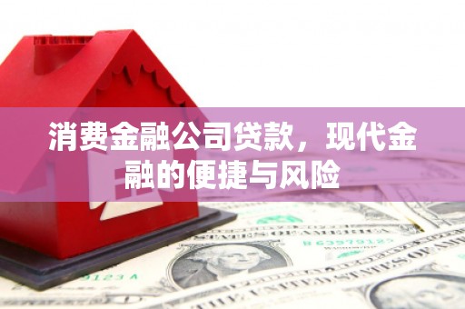 海城消费金融公司贷款，现代金融的便捷与风险