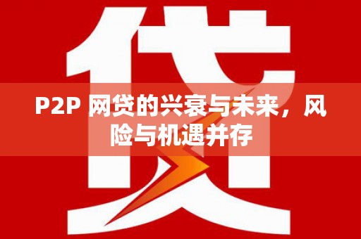 海城P2P 网贷的兴衰与未来，风险与机遇并存