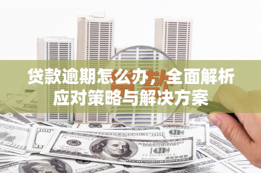 海城贷款逾期怎么办，全面解析应对策略与解决方案