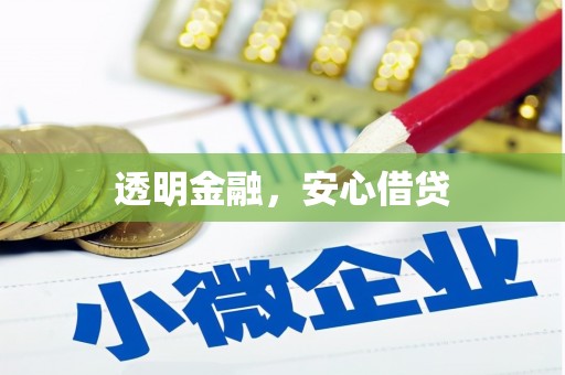海城透明金融，安心借贷