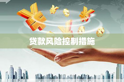 海城贷款风险控制措施