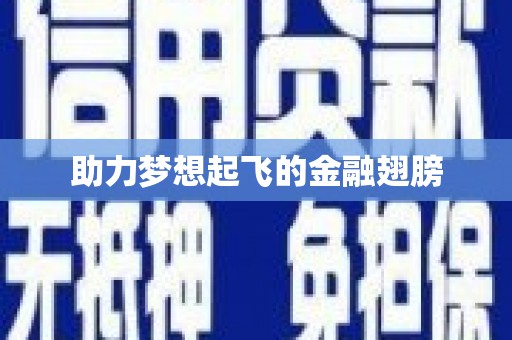 海城助力梦想起飞的金融翅膀
