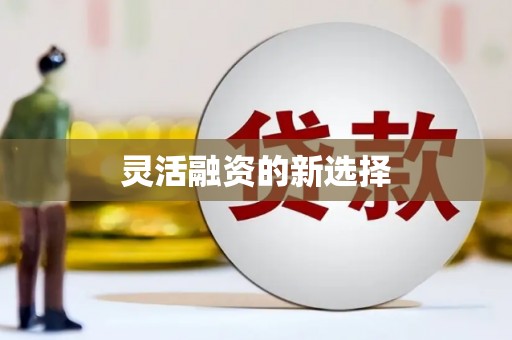 海城灵活融资的新选择