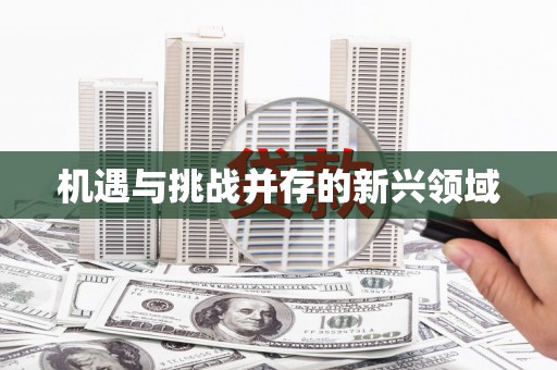 海城机遇与挑战并存的新兴领域