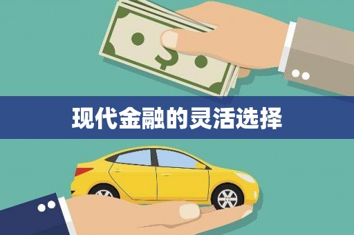 海城现代金融的灵活选择