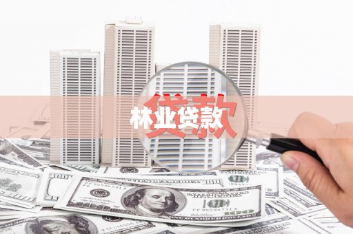 海城林业贷款