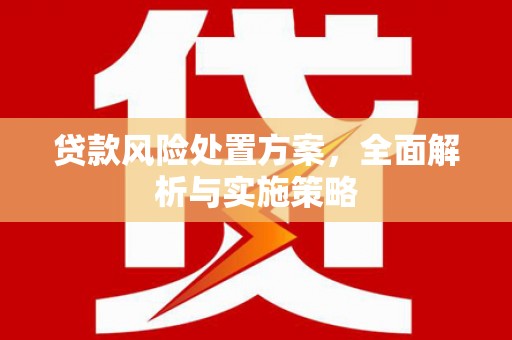海城贷款风险处置方案，全面解析与实施策略