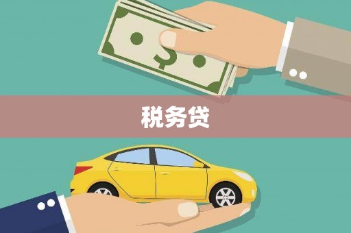 海城税务贷