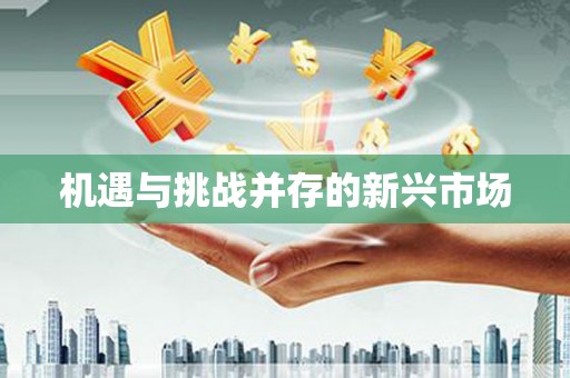 海城机遇与挑战并存的新兴市场